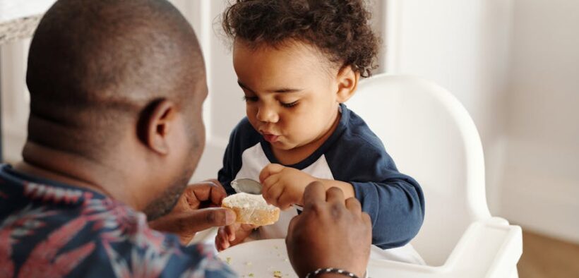 High fiber feeding guide for dogs