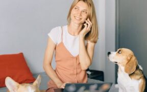 Feeding guide for working breed adult dogs