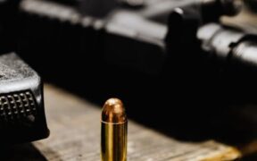 Dangerous table scraps for pets