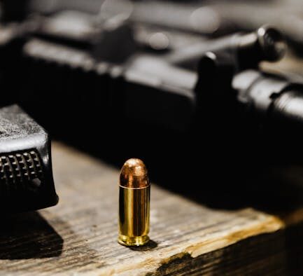 Dangerous table scraps for pets