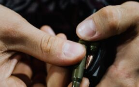 Cats showing tension during carrier loading