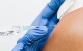 Why yearly wellness exams matter for vaccine planning