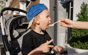 Healthy diet essentials for kittens development and growth