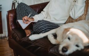 Simple oral care journal for pet owners