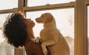 Pet dental care and positive associations