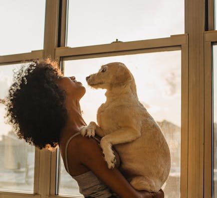 Pet dental care and positive associations