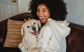 Pet dental care for first time owners