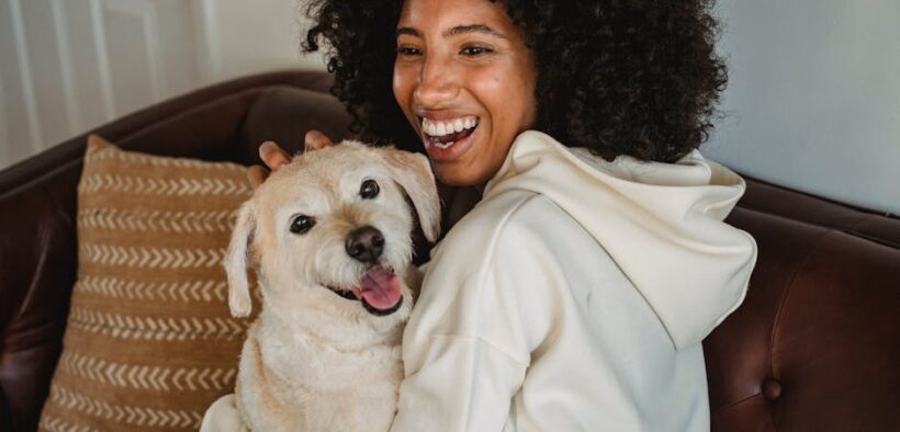 Pet dental care for first time owners