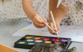 Pets Learning to Enjoy Brushing