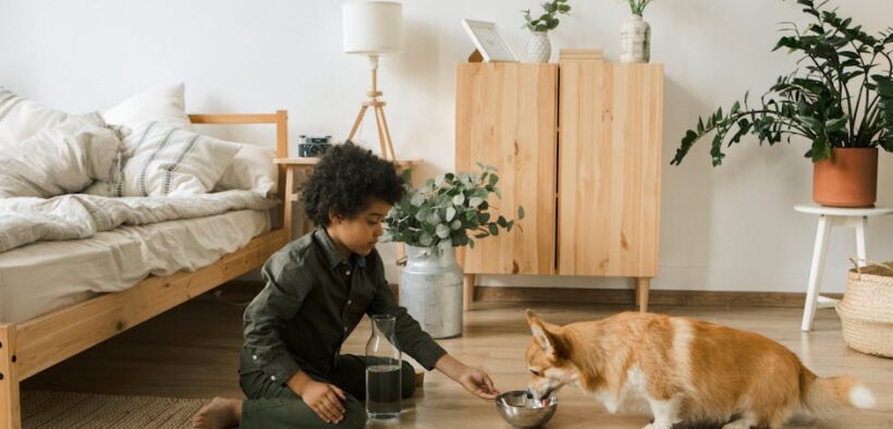 Feeding guide for pets needing more hydration