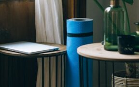 Clicker style training for cats