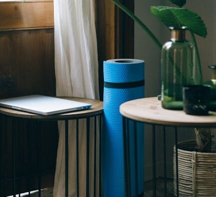 Clicker style training for cats