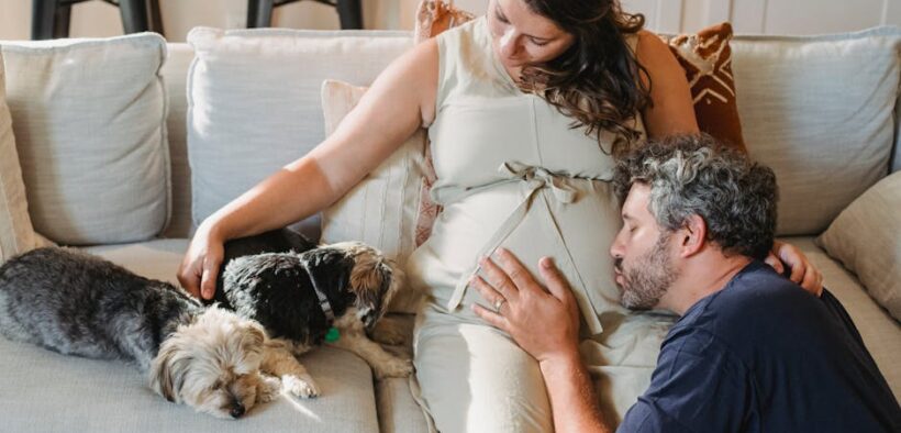 Pet dental care for pets that avoid touch