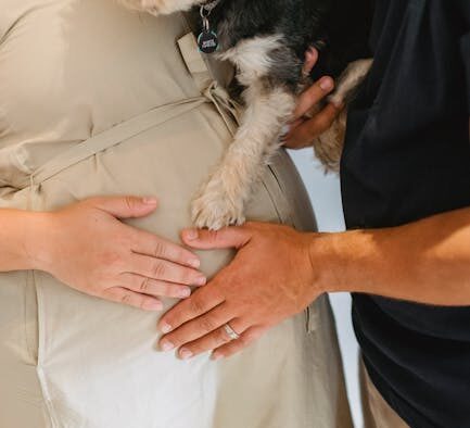 Supplements for gentle stomach support in small dogs