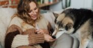 Supporting Oral Comfort in Pets