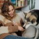 Supporting Oral Comfort in Pets
