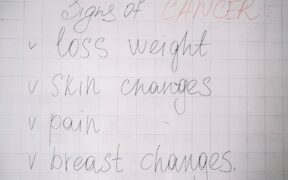 Heartworm prevention for cats risks symptoms and prevention