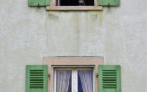 Upper airway obstruction cat