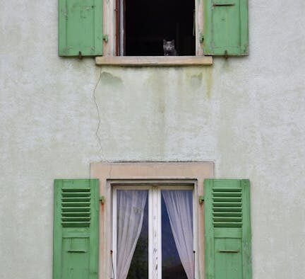 Upper airway obstruction cat