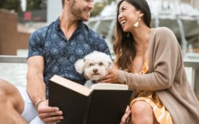 Urine mixed with pus pets