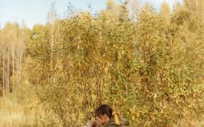 Dog scabs along neck symptoms and possible causes