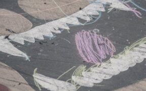 Preventing injuries from rough play in puppies