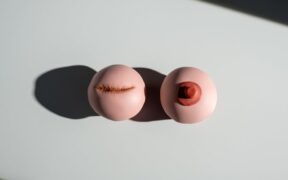 Preventive support for pets recovering from surgery