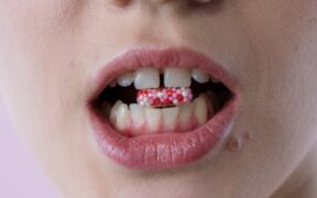 Supplements for stress during fireworks in dogs