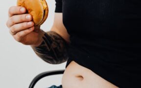 Cat belly noises and decreased appetite digestive symptom