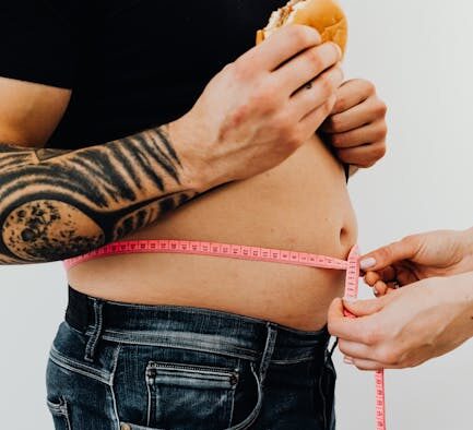 Overweight cats risks symptoms and safe weight management