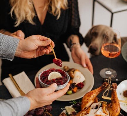 Toxic herbs for dogs