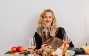 Holiday meal foods toxic to pets