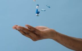 Supplements for gut microbiome balance in dogs