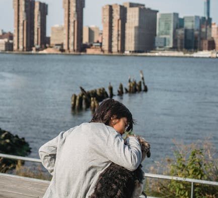 Puppy vaccination myths and facts new owner guide