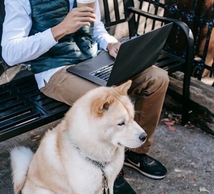 Using kibble as training rewards for dogs