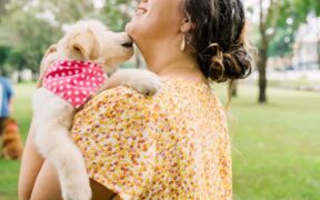 Dog chin acne bumps symptoms and what owners should know