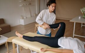 Preventive care for indoor dogs balanced wellness