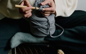 Observing Your Pet’s Oral Comfort