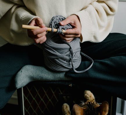 Observing Your Pet’s Oral Comfort