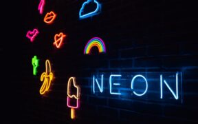 Dogs lip lifting signs