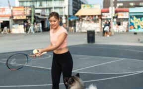 Keeping training sessions fun for dogs