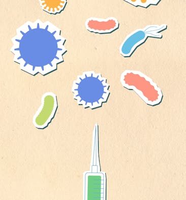 Preventing infectious disease spread in multi pet homes