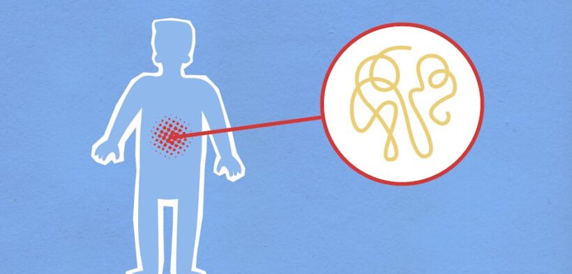 Increased appetite in dogs digestive symptom overview