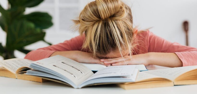 Cats learning to relax in common areas