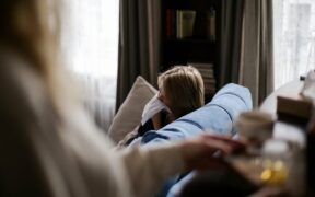 Cat digestive upset after boarding symptoms and concerns