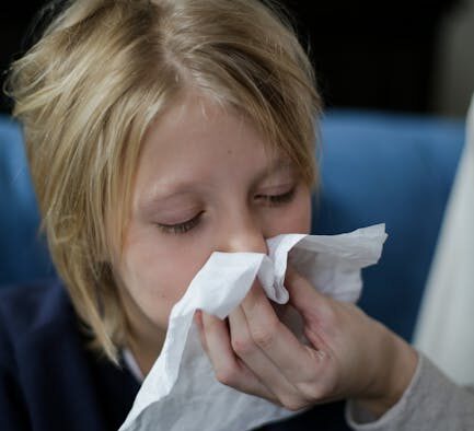 Cat sneezing causes common infections and care tips