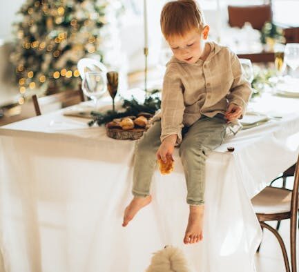 Seasonal feeding guide for dogs