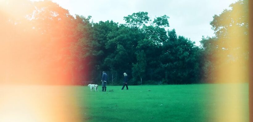 Urine leaking when walking pets