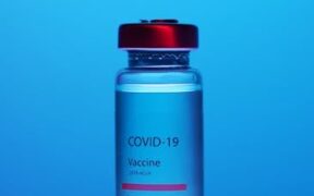 Canine influenza vaccine basics benefits and considerations