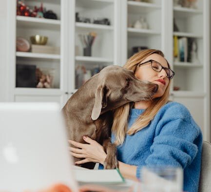 Dog bad breath causes from dental to systemic issues